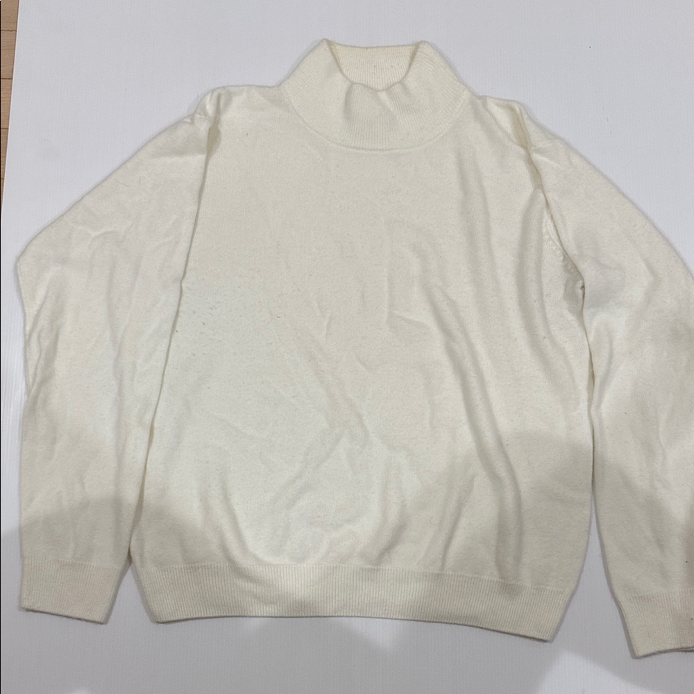 Dressbarn Ivory Knit Turtleneck